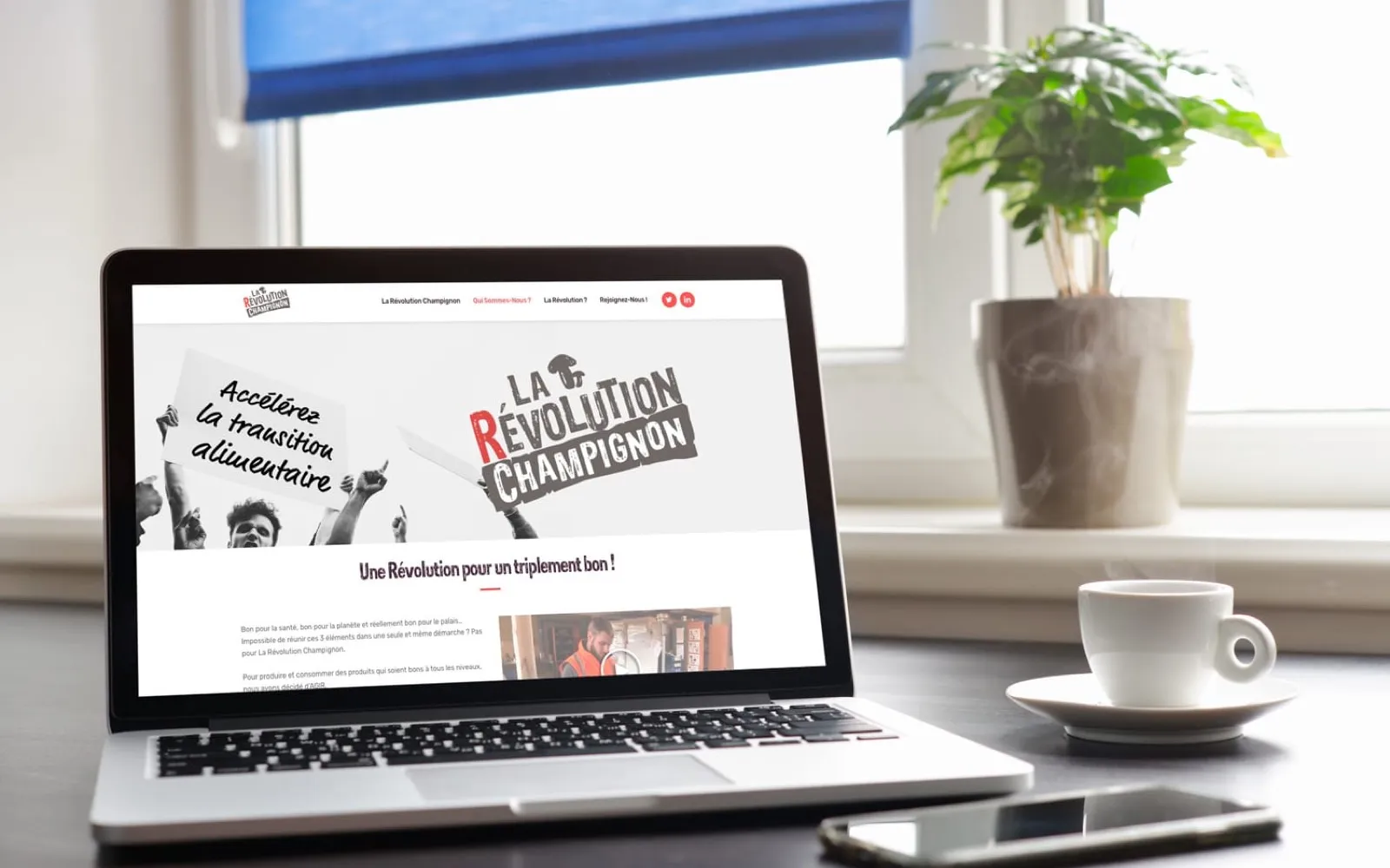 La Révolution Champignon, projet réalisé par OVM Communication